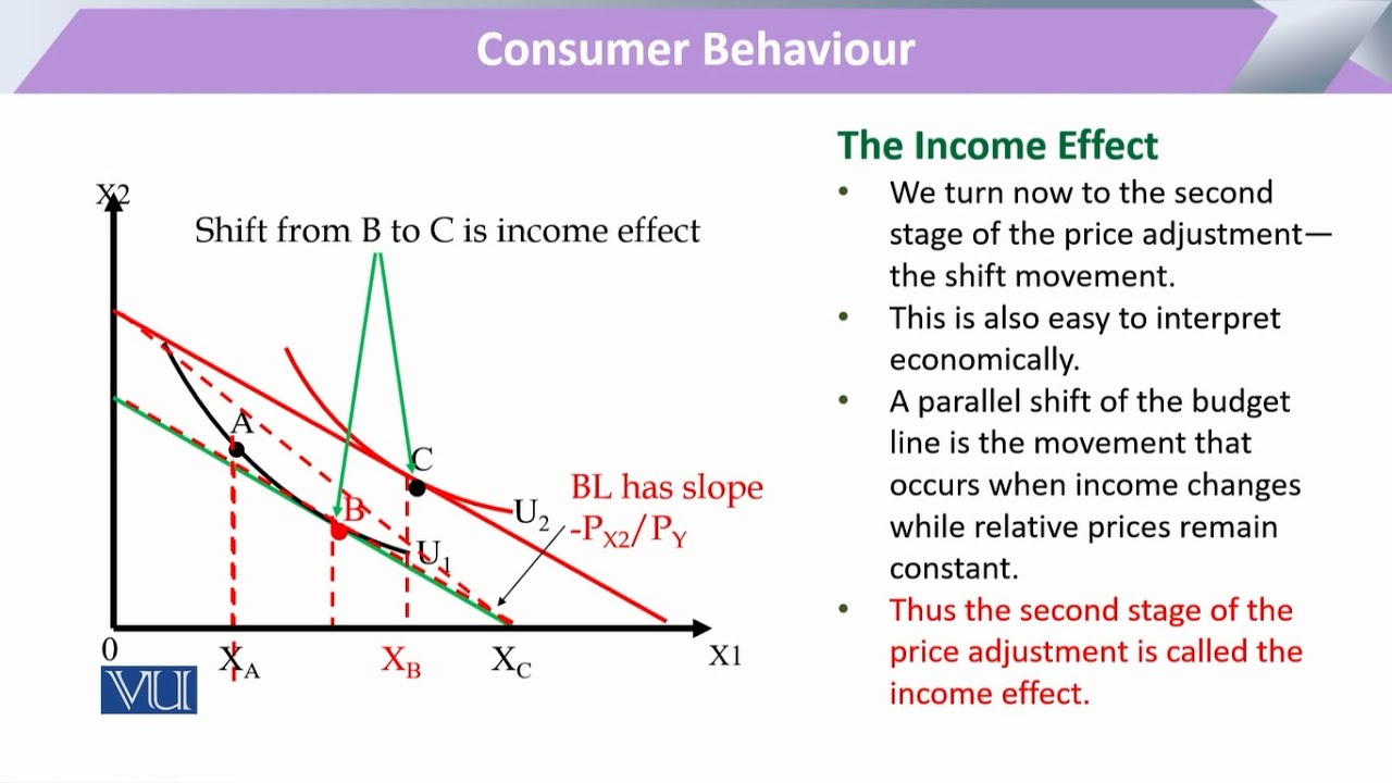 Consumer Behaviour: Consumer Choices: The Income Effects ...