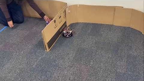 CECS 347 Wall Follower 1