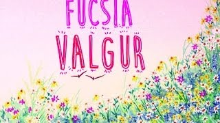 Fucsia - Valgur ( Lyric Video)