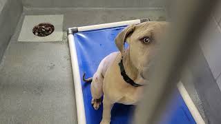 acs A663180