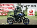 Yamaha MT09 review & Akrapovic Sound check