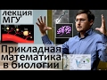 Лекции МГУ. Прикладная Математика в Биологии (Слезы, Почки и др. задачи)