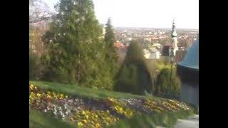 Welzergasse 33, Baden