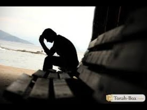 2018 جيتك يبحر قلب عامر