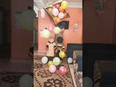 الكلب اللولو هو هو 