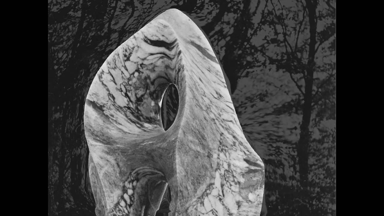 BLUM BLUM SHUB (biomorphing) - YouTube