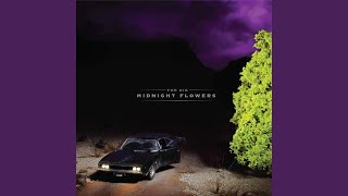 洋楽 degreed DEAD BUT NOT FORGOTTEN Degreed – Dead But Not Forgotten – CD (Album), 2015 [r8712644