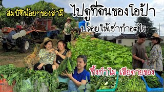 EP.398 |Today I am going to see my husband's land left to rent.Vegetables and rice are compensation