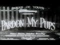 Thumb of Pardon My Pups video