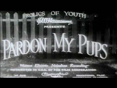 Pardon My Pups