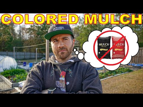 Video: Geverfde Mulch Vs. Normale mulch: gekleurde mulch gebruiken in tuinen