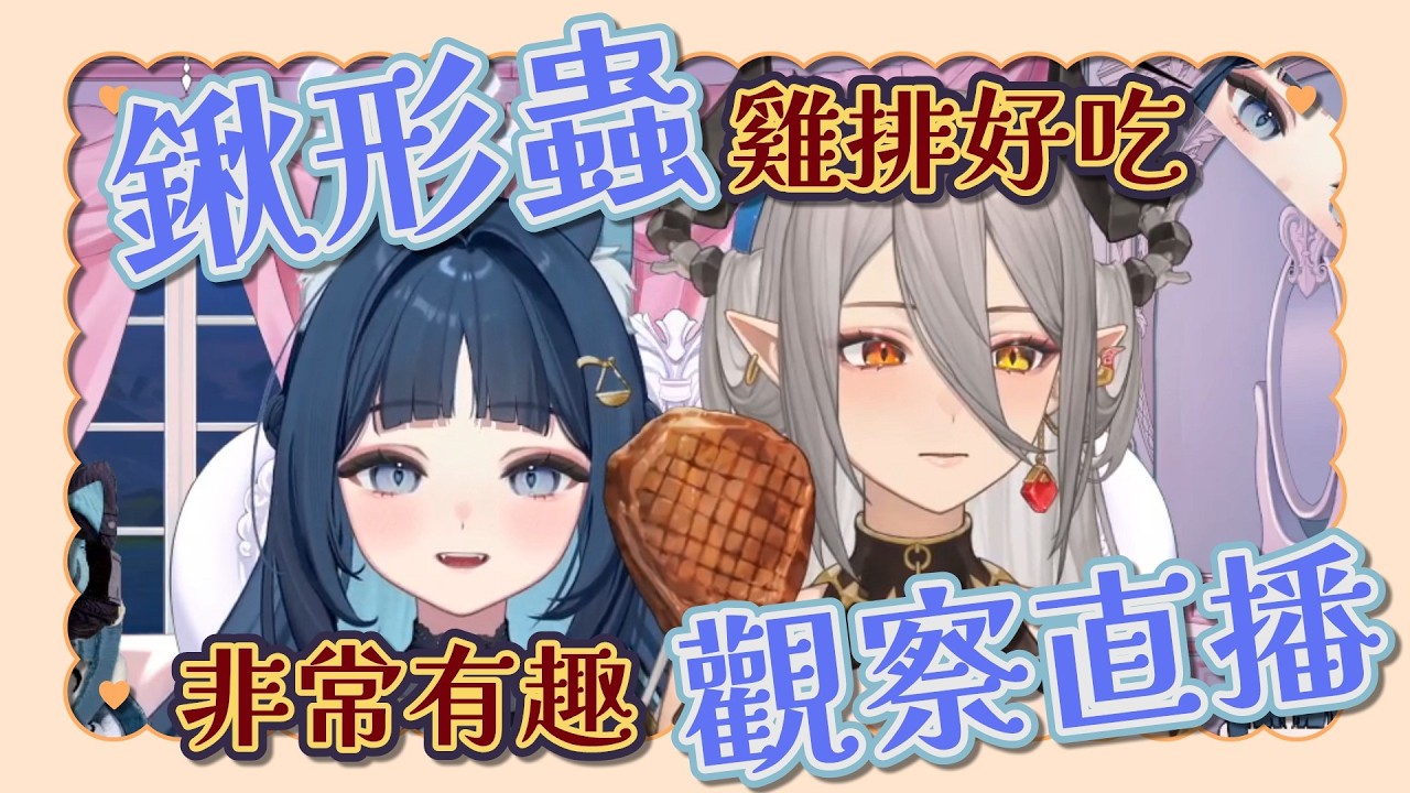 【祈Iruni精華】哪家雞排這麼香．鍬形蟲進食觀察小教室 ft.鍬形蟲．260303