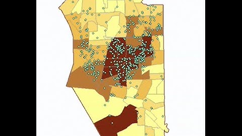 Point Pattern Analysis: Descriptive Statistics and Kernel Estimation