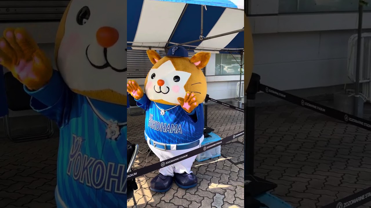 かわいいたぬきさん（DBスターマン）