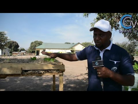 Video: Teknolojia Za LED Za Bustani Ya Mboga Kwenye Windowsill