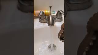 Dinosaur puppet plays with rubber duck