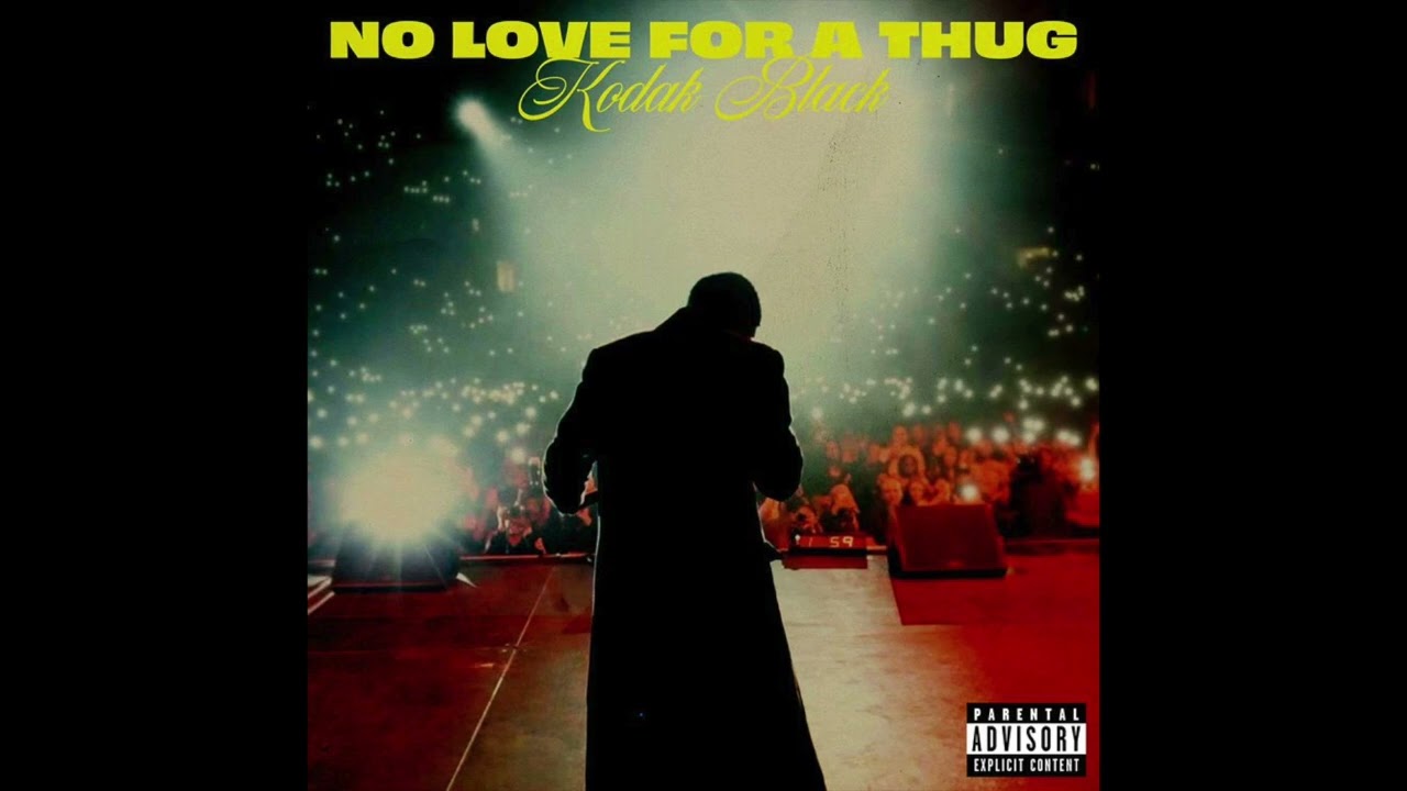 Kodak Black - No Love For A Thug (AUDIO)