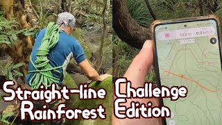 Straightline Challenge  Rainforest Edition