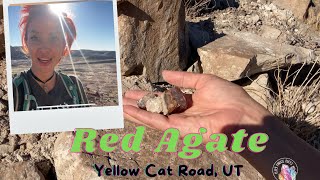 Yellow Cat Red Agate in Utah