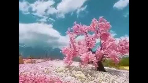 ألا بذكر الله تطمئن القلوب..تلاوة خاشعة