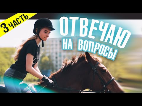 СКОЛЬКО СТОИТ Конный Спорт? / ВОПРОС-ОТВЕТ 3 часть