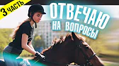 ДНЕВНИК КОНОБЛОГЕРА