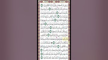 صفحة 306 من القرآن الكريم بصوت القارئ الشيخ ميثم التمار