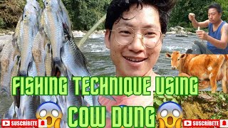 fishing technique using cow dung गाय के गोबर का उपयोग करके मछली पकड़ने की तकनीक dewan dada vlog