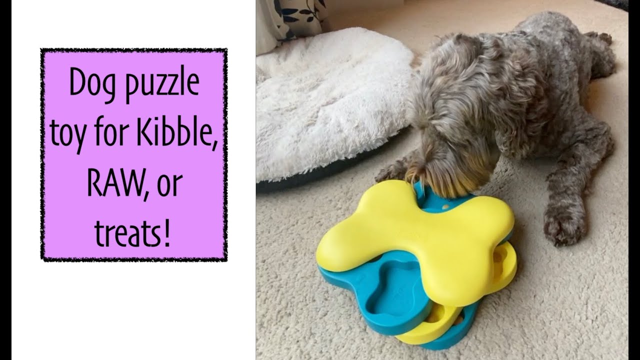 Nina Ottosson Dog Tornado Puzzle Toy – The Woof Club