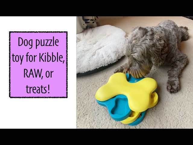 Nina Ottosson Outward Hound Dog Tornado - Food Puzzle Toy Review (Works  with RAW!) Slow Feeder 