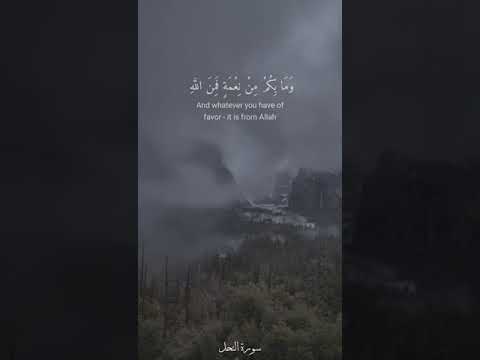 وقال الله لا تتخذوا إلهين أثنين إنما هو إله واحد فإياي فارهبون