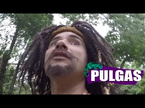 MUSTAFARY (MARCO LUQUE) -- PULGAS