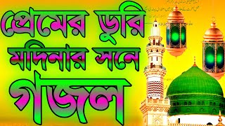 প্রেমের ডুরি বান্দরের মন মদিনার সনে|বাংলা গজল|ক্বারী বদরুল হক|Premer duri bandore mon modinar shone