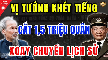 Tại Sao Đại Tướng Lê Đức Anh "Tự Phế Võ Công", Cắt Giảm 61 Vạn Quân Giữa Lúc Biên Giới Nóng Bỏng?