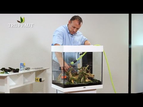 Vidéo: Comment Remplir Un Aquarium Avec De L'eau