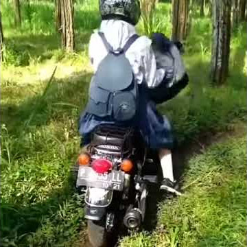 bokeh video full hd - sma dalam kebun