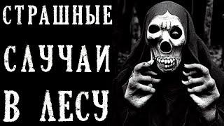 видео: Страшные Случаи В ЛЕСУ. Истории на Ночь (5в1) картинка: Страшные Случаи В ЛЕСУ. Истории на Ночь (5в1)