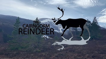 Hill Trip Intro Video