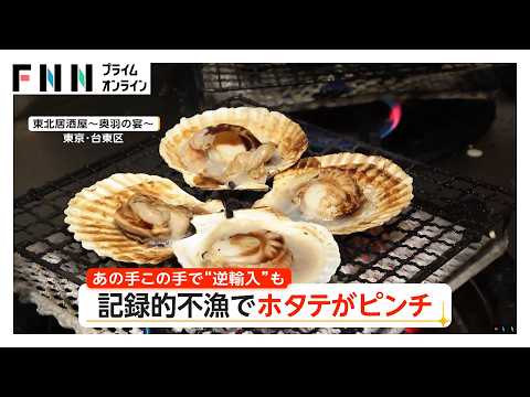 記録的不漁でホタテがピンチ　「冷凍」「逆輸入」で代用の動き　“おすすめ”から外した店も（2026年10月23日）