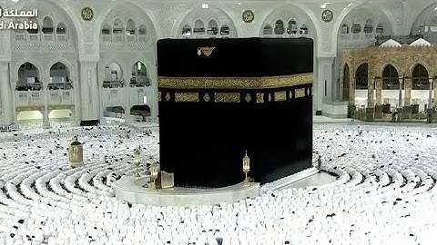 تلاوة فضيلة الشيخ د.ماهر المعيقلي من صلاة المغرب ٧ ربيع الأول ١٤٤٧ه‍. #ماهرالمعيقلي 