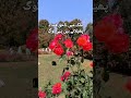 #ask #trust #atoz #786 #islam #life #beautiful #islamabadbeautyofpakistan #Islamabad