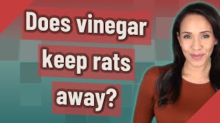 Does vinegar keep rats away?