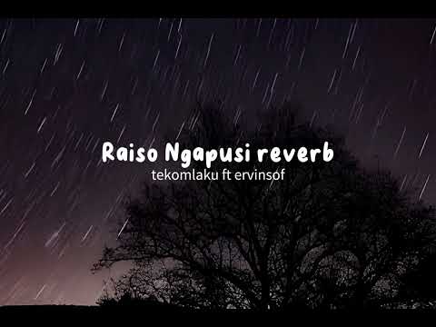 Raiso Ngapusi reverb - tekomlaku ft ervinsof