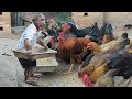 Abu farmer enlisted to help his mother feed the chickens