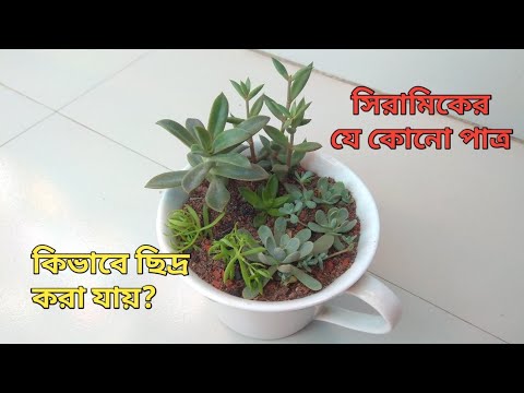 ভিডিও: কিভাবে সিরামিক পাত্র তৈরি করতে হয়