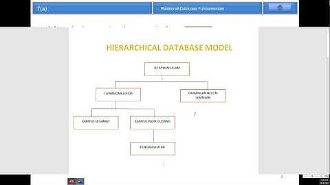 Chapter 7 Storing Organizational Information   Databases