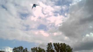 RJ Flying His Premier Vision Stunt Kite In 12-15mph Wind