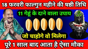 18 फरवरी फाल्गुन महीने का षष्ठी तिथि को 11 गेहूं के दाने वाला उपाय जरूर करें || Pradeep Ji Mishra