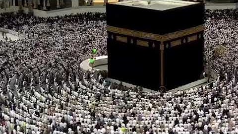 قراءة هادئة.الشيخ ماهر المعيقلي. سورة القيامه