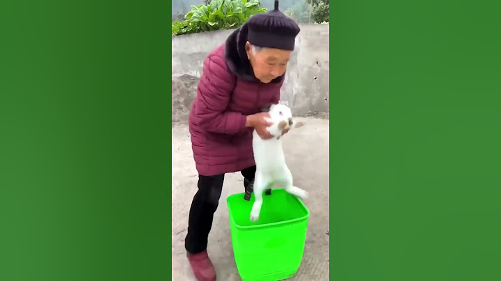Oops, forgot the stairs existed! Chinese couple keeps laughing in comedy